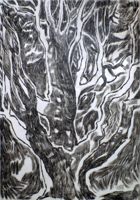 Trees are one of my most important subjects for explorative drawings on site. And the idea for this work comes from the ‘under-drawings’ I do on canvas for oil-paintings . . . utilizing black pencil and paint, drawing with brush, into a damar-wash, accentuating the darkness and fluidity of the pencil (also acting as a fixative) giving a faster expression with the energy of motion.
The ‘Tree’ as a universe within itself . . . of branch-lines in complex compositions intertwined multi-dimensional in their overlapping into the mystery of its inner-spaces.
